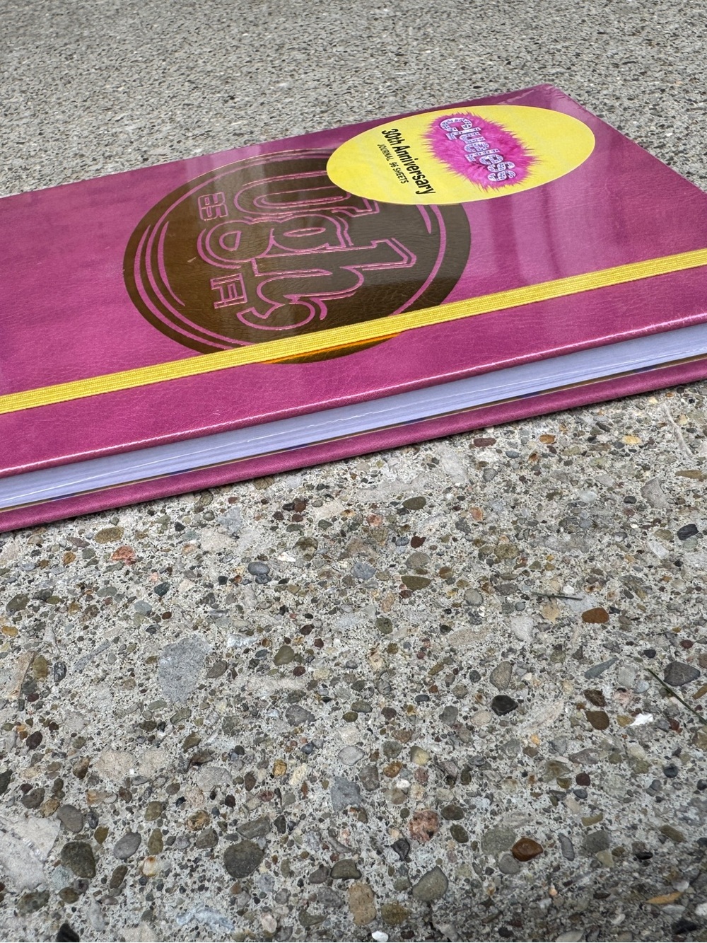 Clueless Journal- NEW - Picture 2 of 4